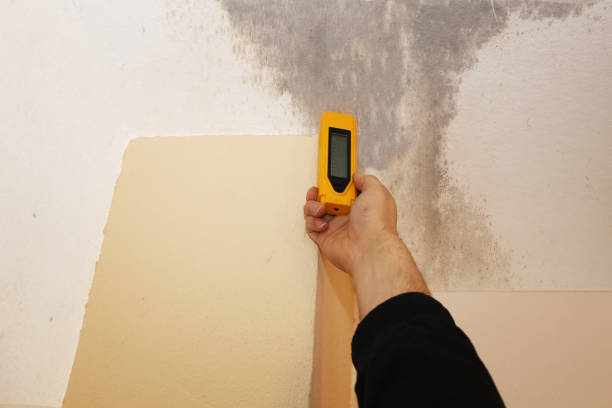 Best Indoor Air Quality Assessment  in Simpson, PA