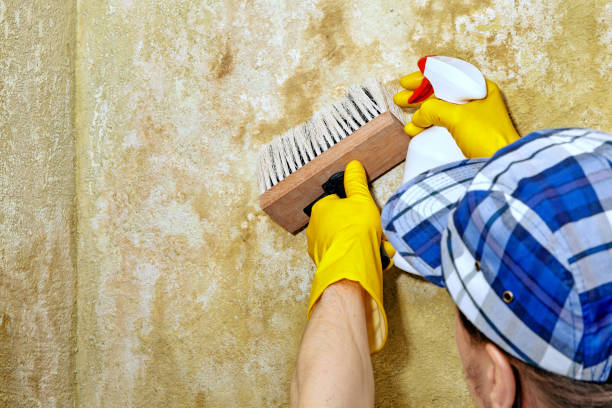 Best Mold Prevention Services  in Simpson, PA