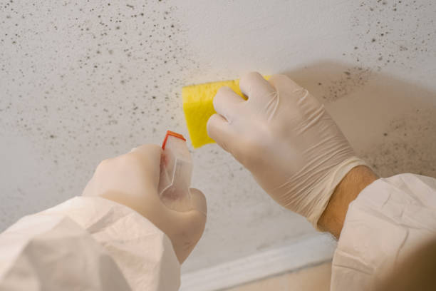 Best Post-Remediation Verification Testing  in Simpson, PA